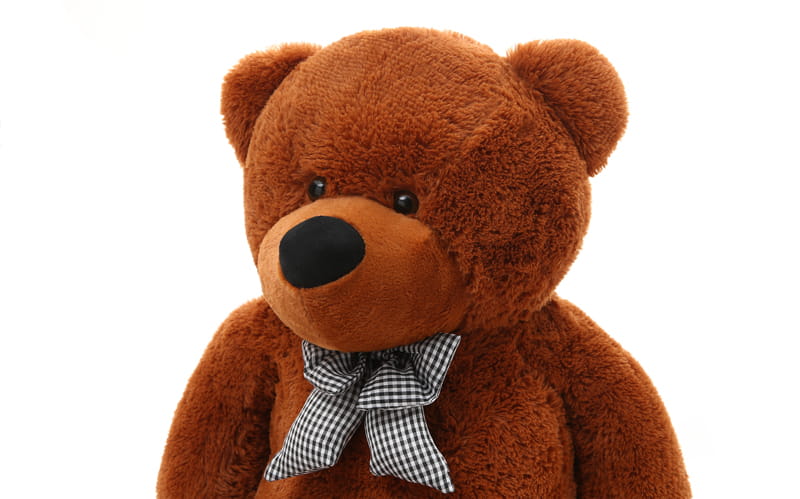 MeowBaby® TEDDY Suuri nalle - 200 cm 