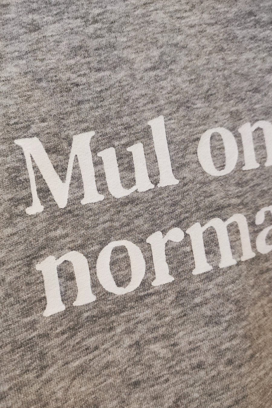 Mul on praegu normaalne №4 - Grey