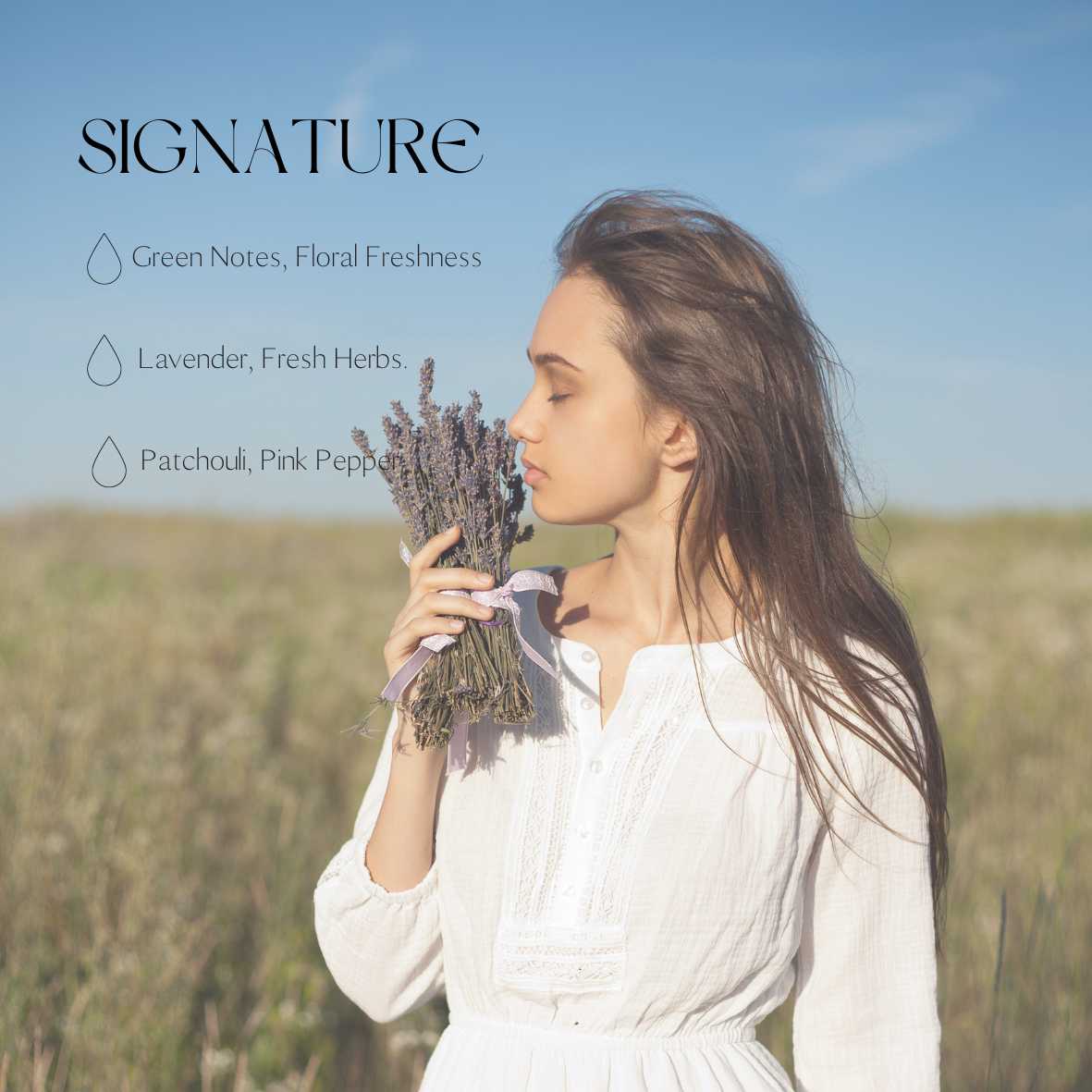 Candledust autolõhnastaja "Signature"