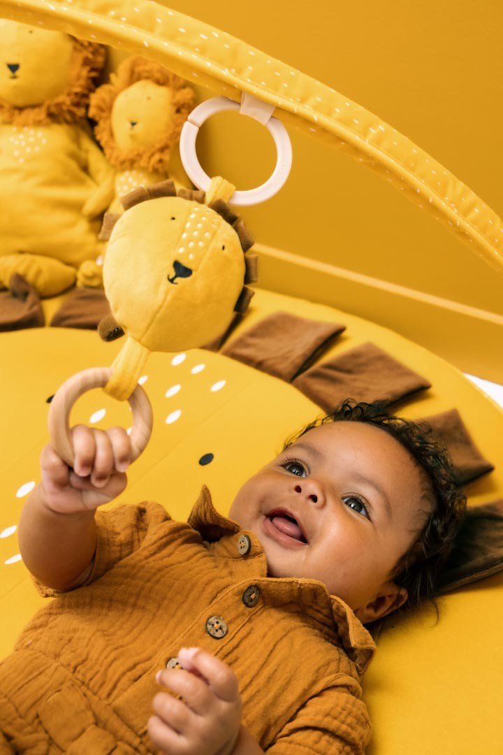 Trixie Baby kaartega tegelusmatt - Mr Lion
