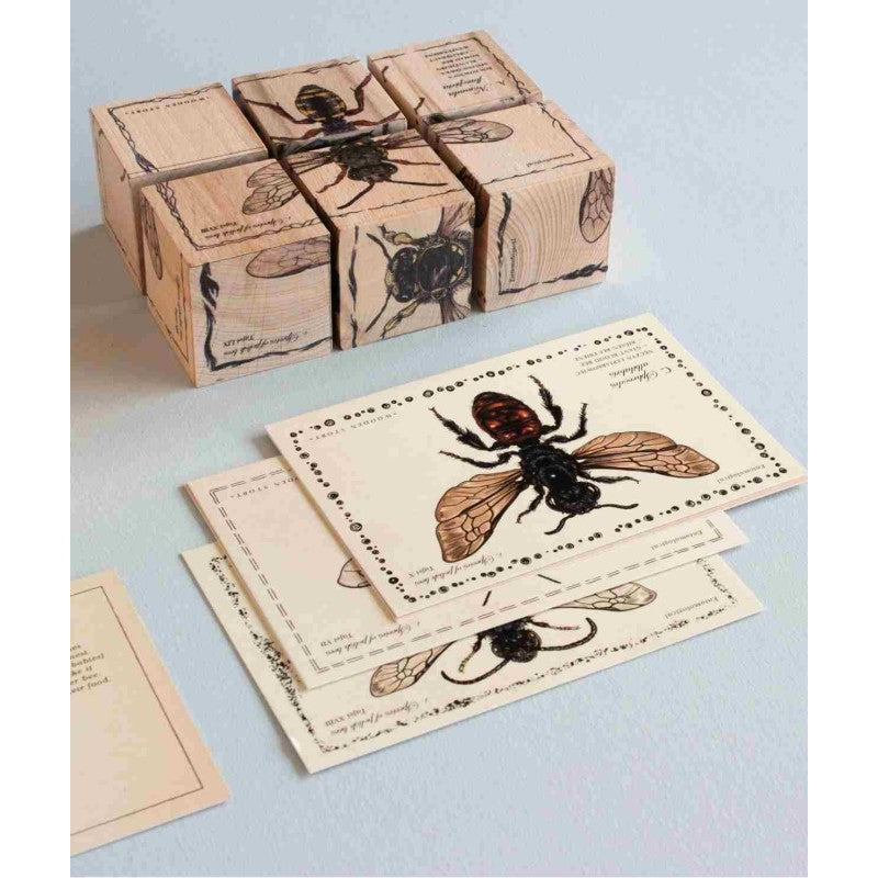 Wooden Story puidust klotsid "Bee Life Species"