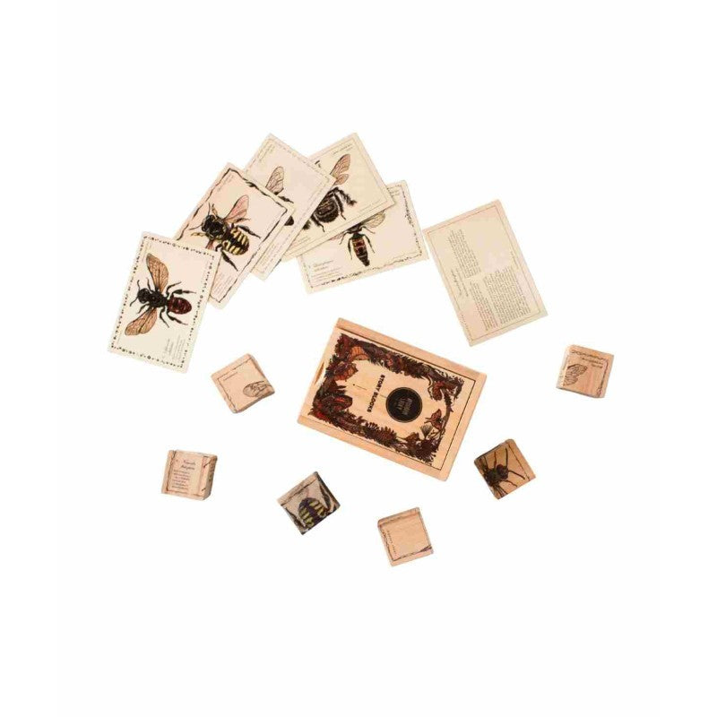 Wooden Story puidust klotsid "Bee Life Species"