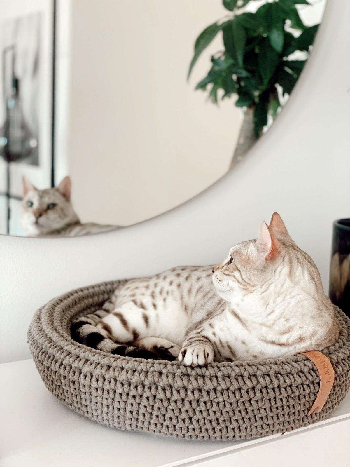 Labbvenn punutud lemmiklooma voodi "Coco" - Helepruun