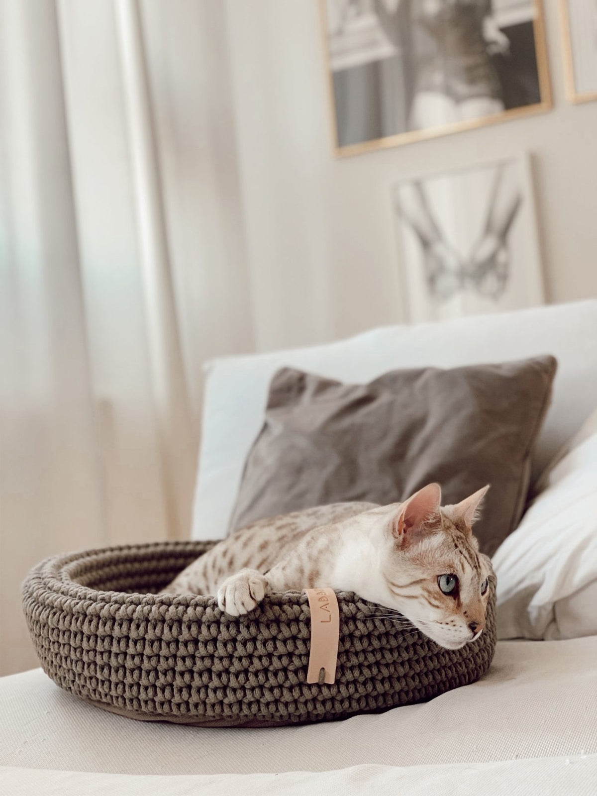Labbvenn punutud lemmiklooma voodi "Coco" - Helepruun