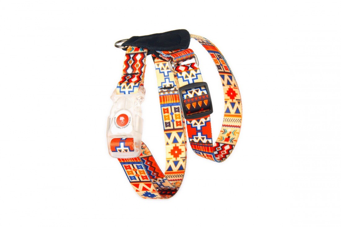 Matteo nahkdetailidega koera traksid - Boho