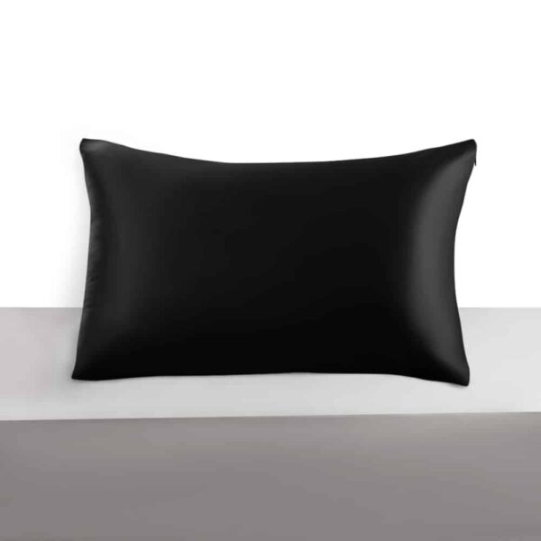 Murberry Silk Pillowcase with Zipper, 22 Momme, 50×60