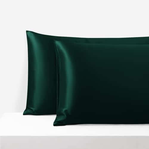 Murberry Silk Pillowcase with Zipper, 22 Momme, 50×60