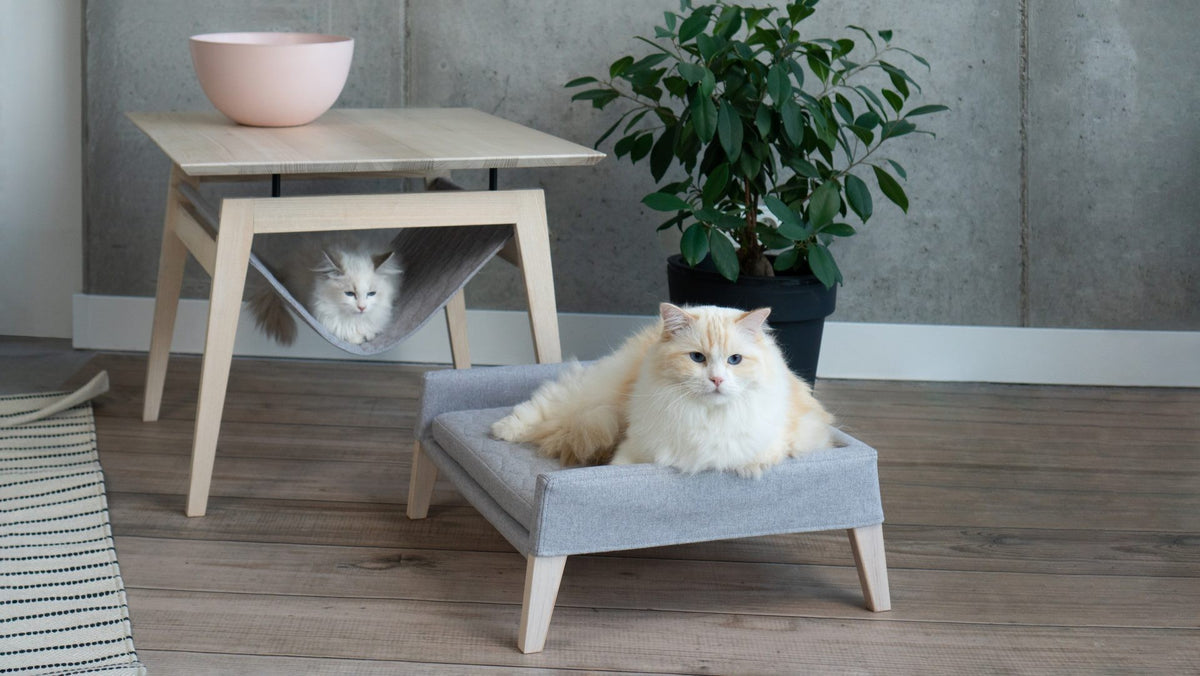 Labbvenn saarepuidust mööblikomplekt "Kikko & Lulu" - Antratsiit