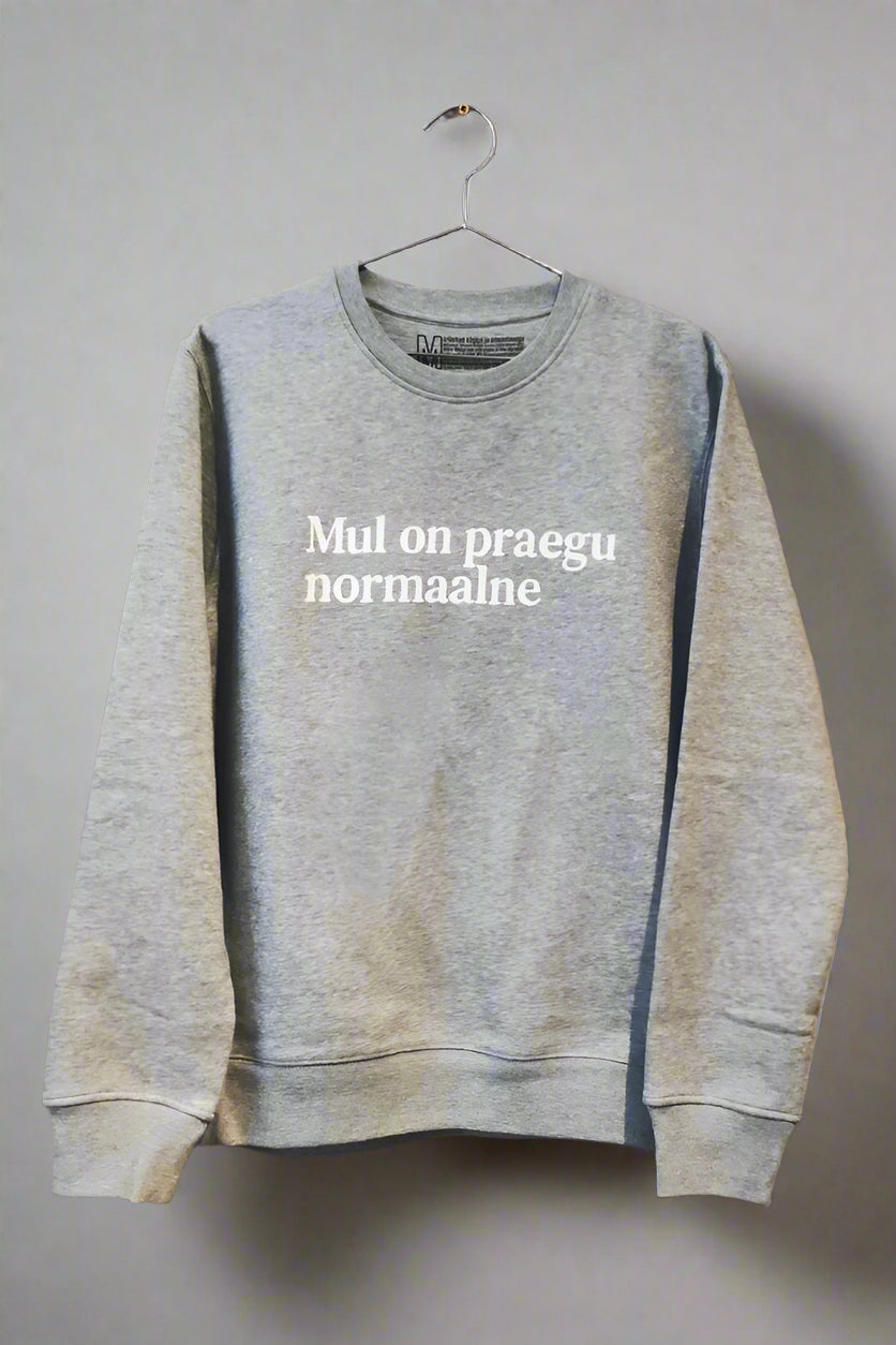 Mul on praegu normaalne №4 - Grey