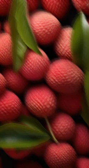 maar parfüümõli – Mellow Pitch, 10 ml