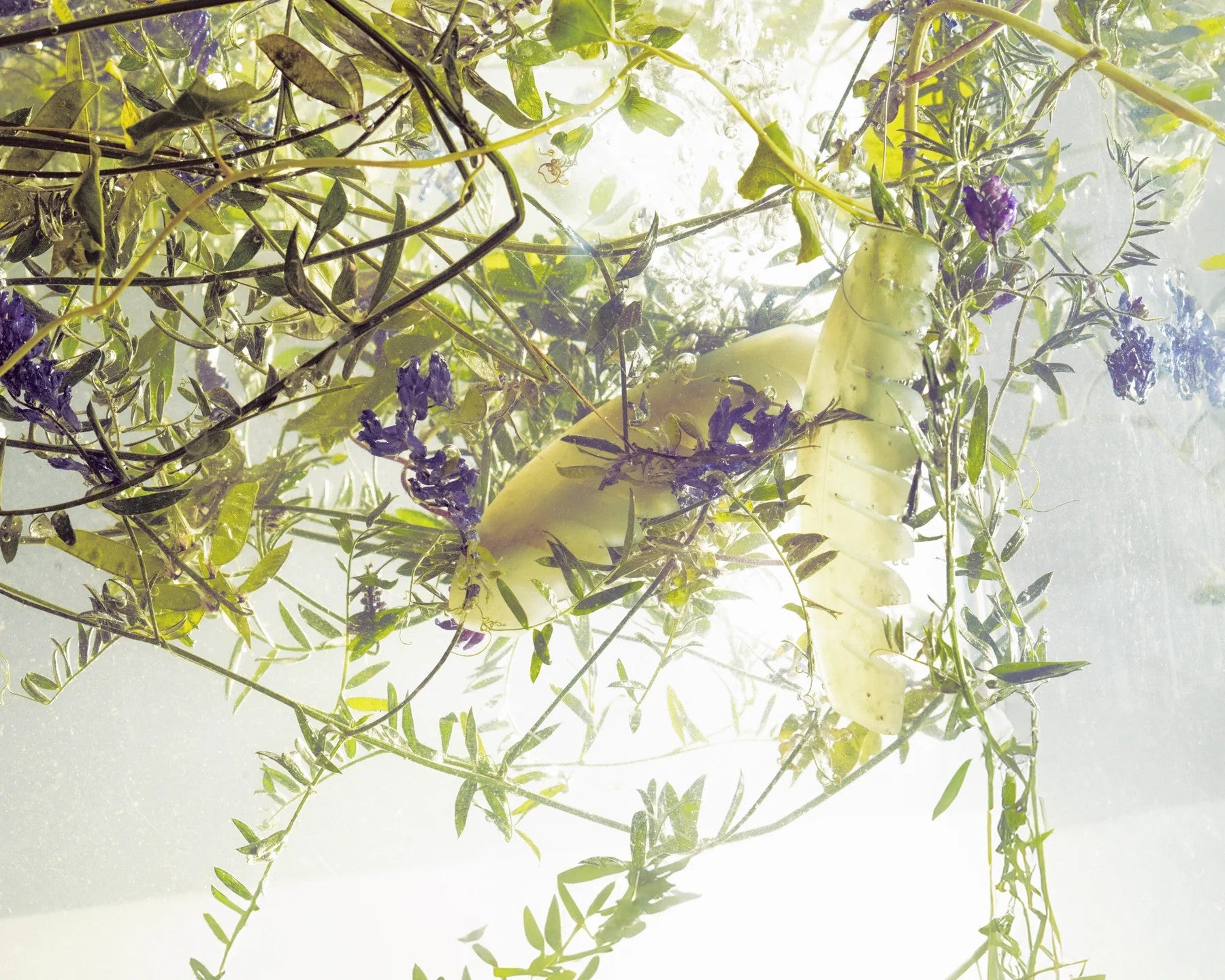 GUA SHA Growth Promoting Scalp Comb