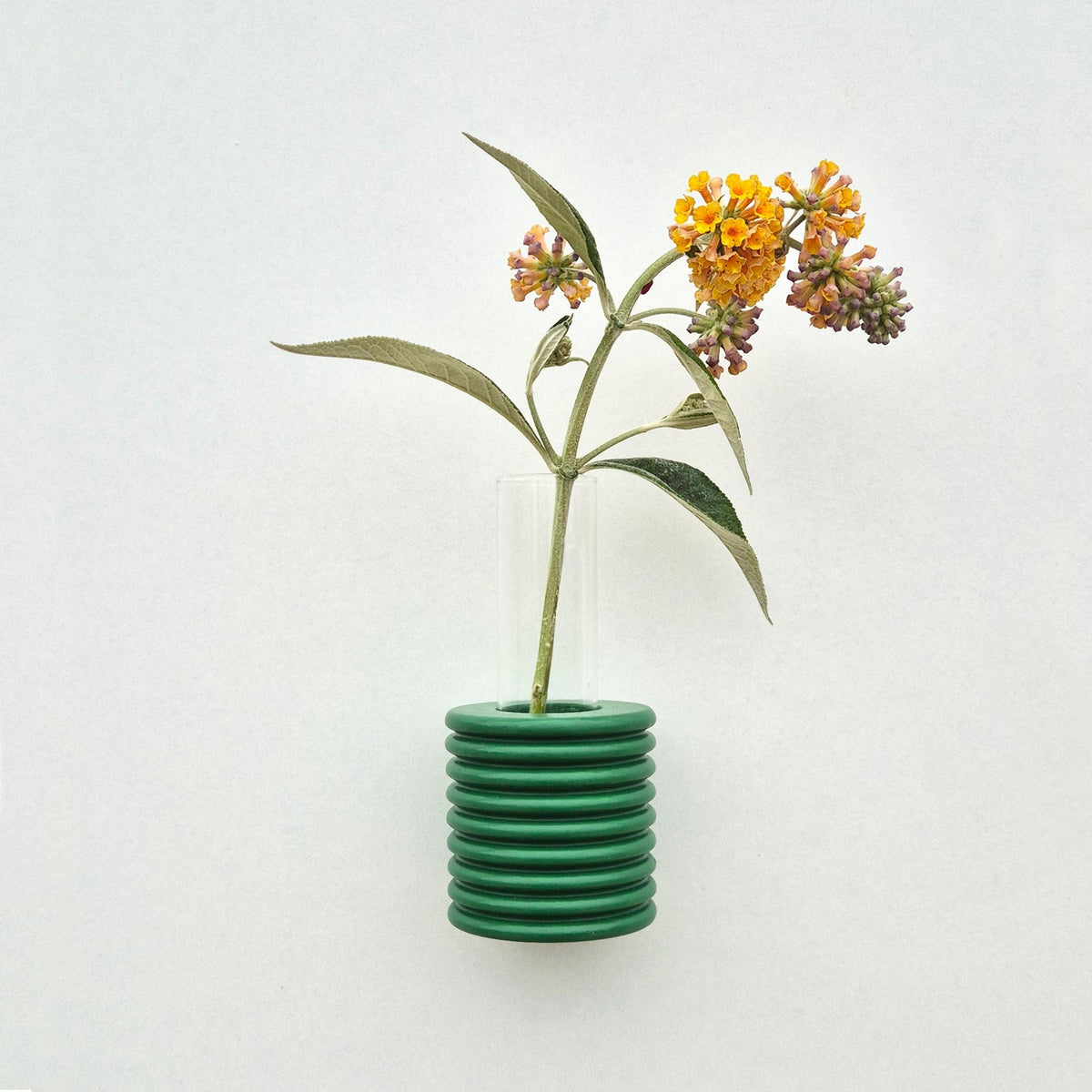 5mm Paper puidust seinavaas "Ribble" - Roheline