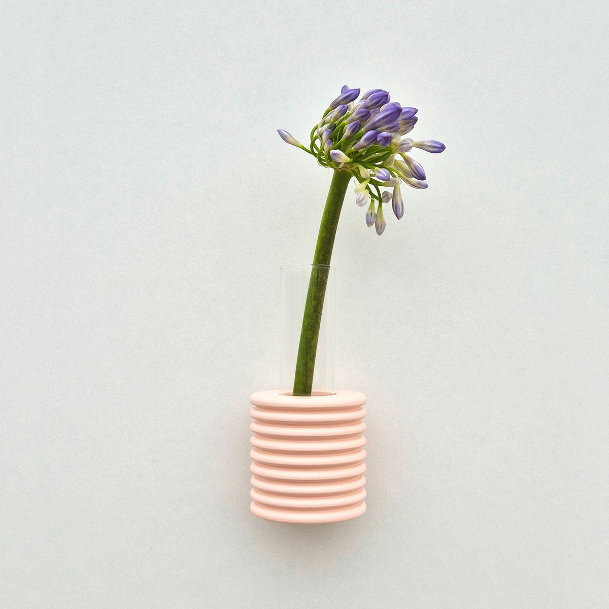5mm Paper puidust seinavaas "Ribble" - Roosa