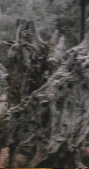 Spray Perfume - Ego Rex, 15ml, 50ml