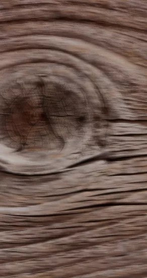 Spray Perfume - Ego Rex, 15ml, 50ml