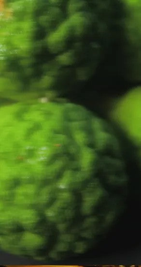 Spray Perfume - Nights in Morocco, 15ml, 50ml