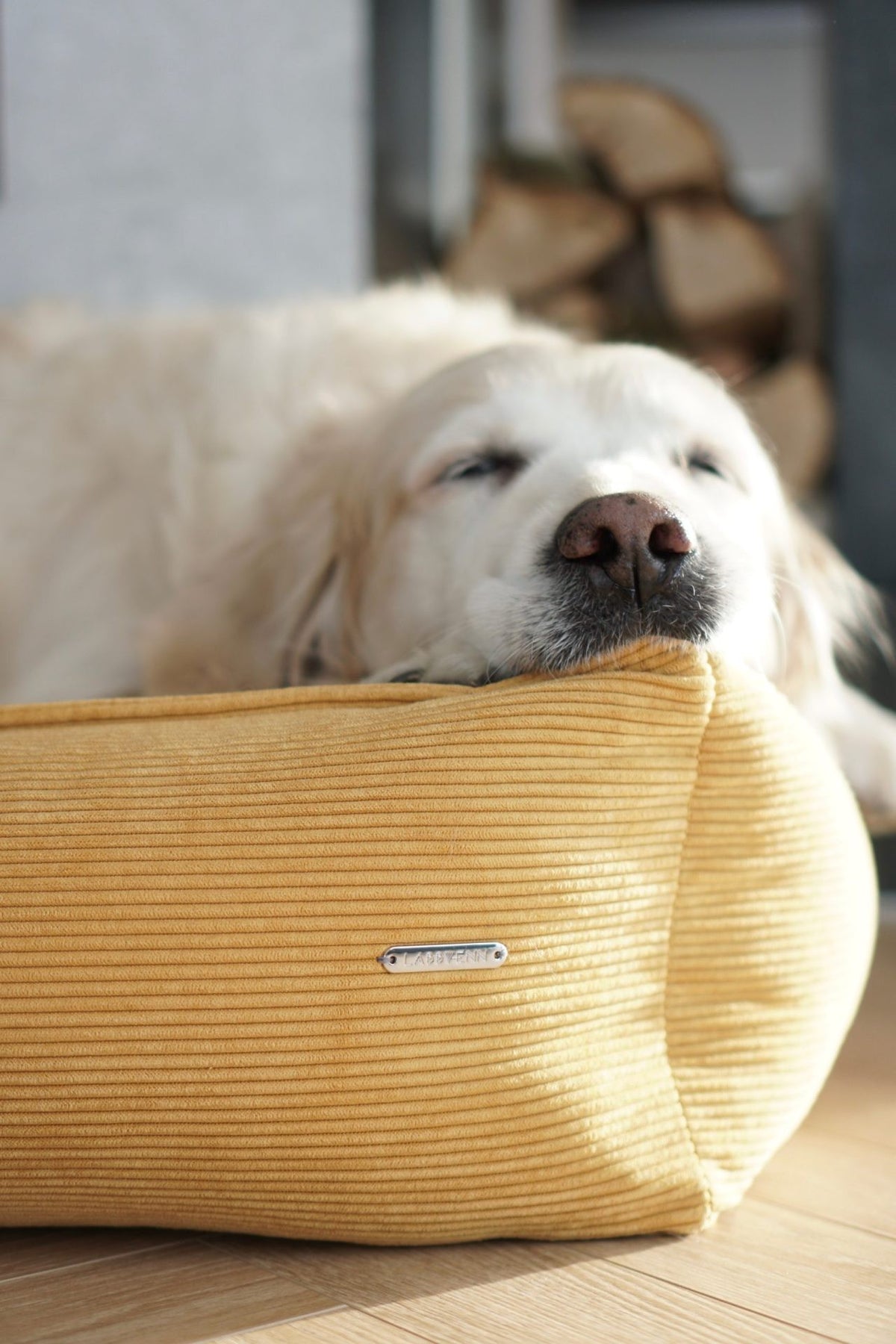Labbvenn velvetist koeravoodi "Strippo" - Honey